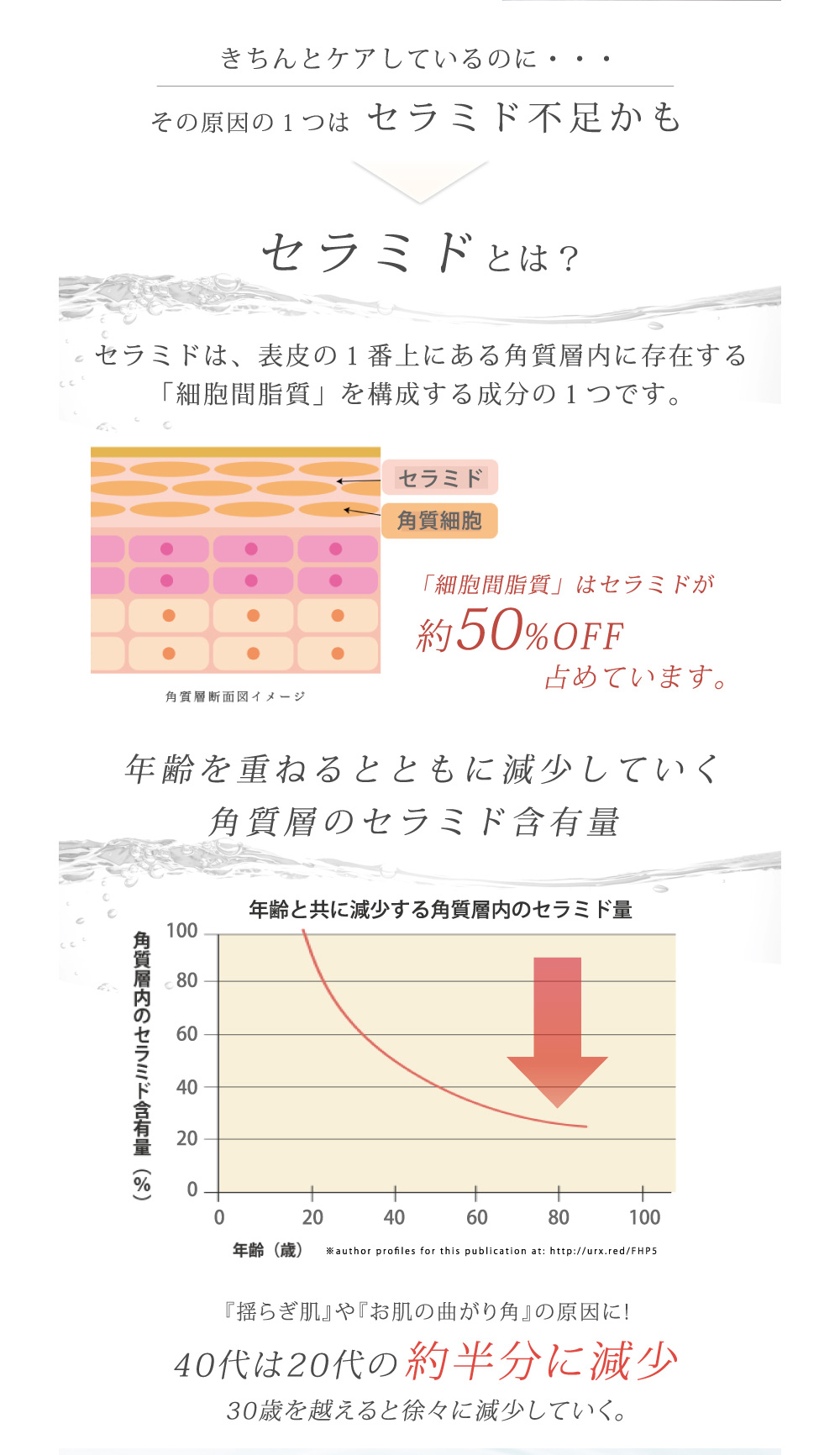 セラミドとは
