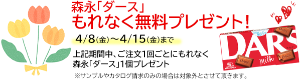 森永「ダース」もれなく無料プレゼント