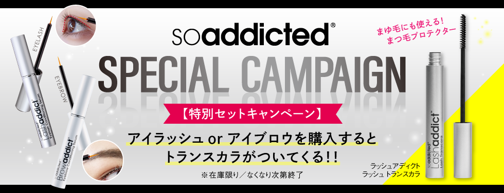 特別セットキャンペーン