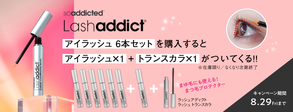 6+1+1キャンペーン