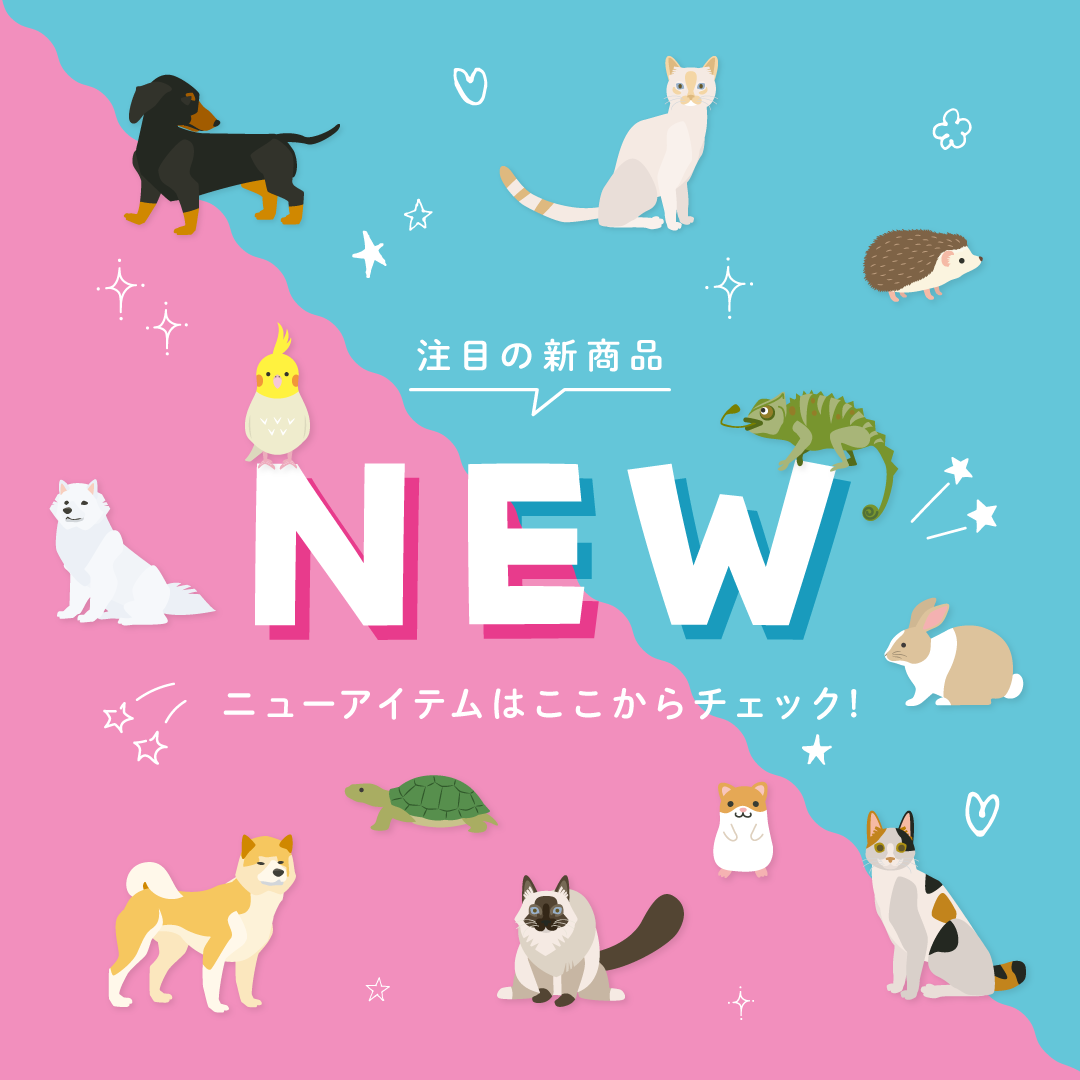 New注目の新商品