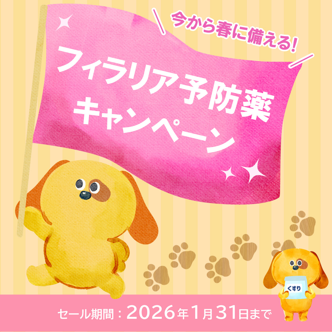 フィラリア予防薬キャンペーン（2026.1.31まで）