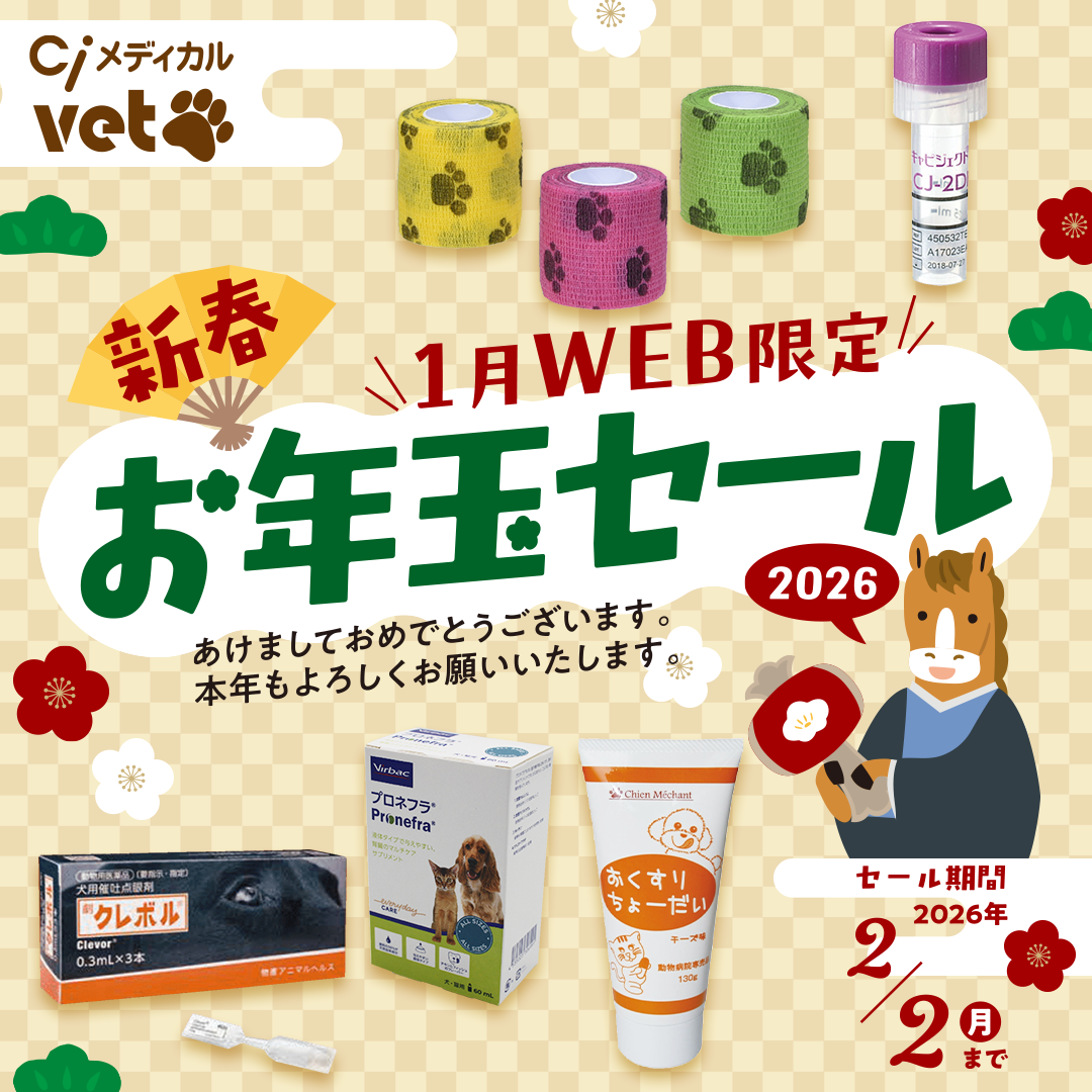  Vet WEB限定 新春お年玉セール 