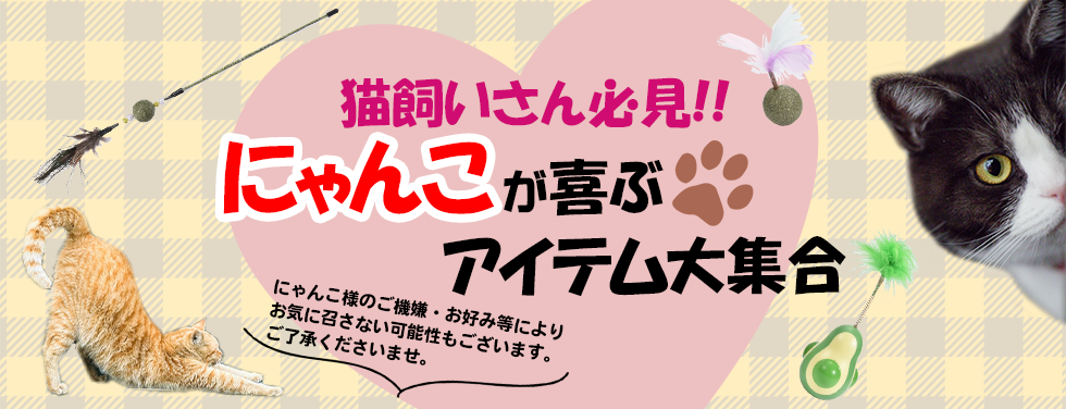 にゃんこが喜ぶアイテム大集合
