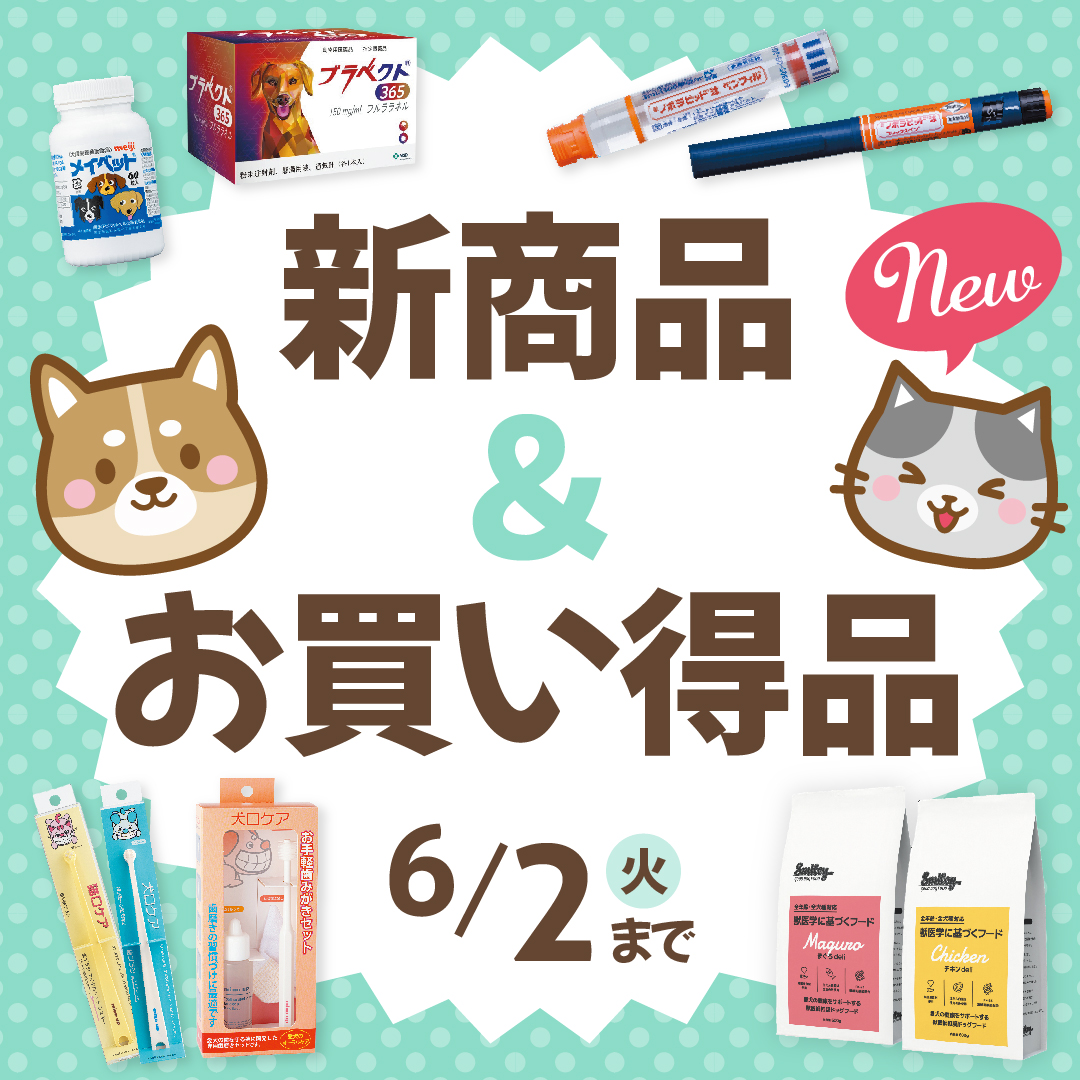  Vet 新商品＆お買い得品 WEB限定セール