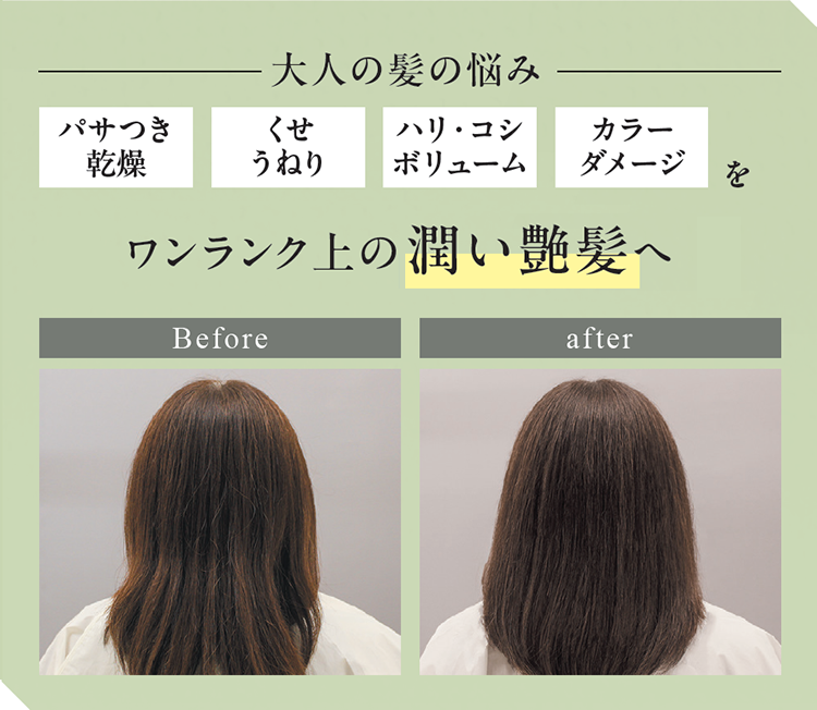 大人の髪の悩み