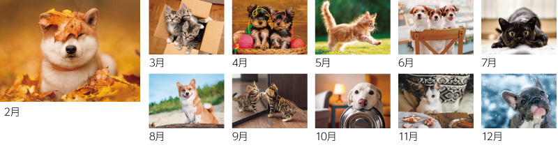 ワンニャンコンパクトカレンダー12ヶ月