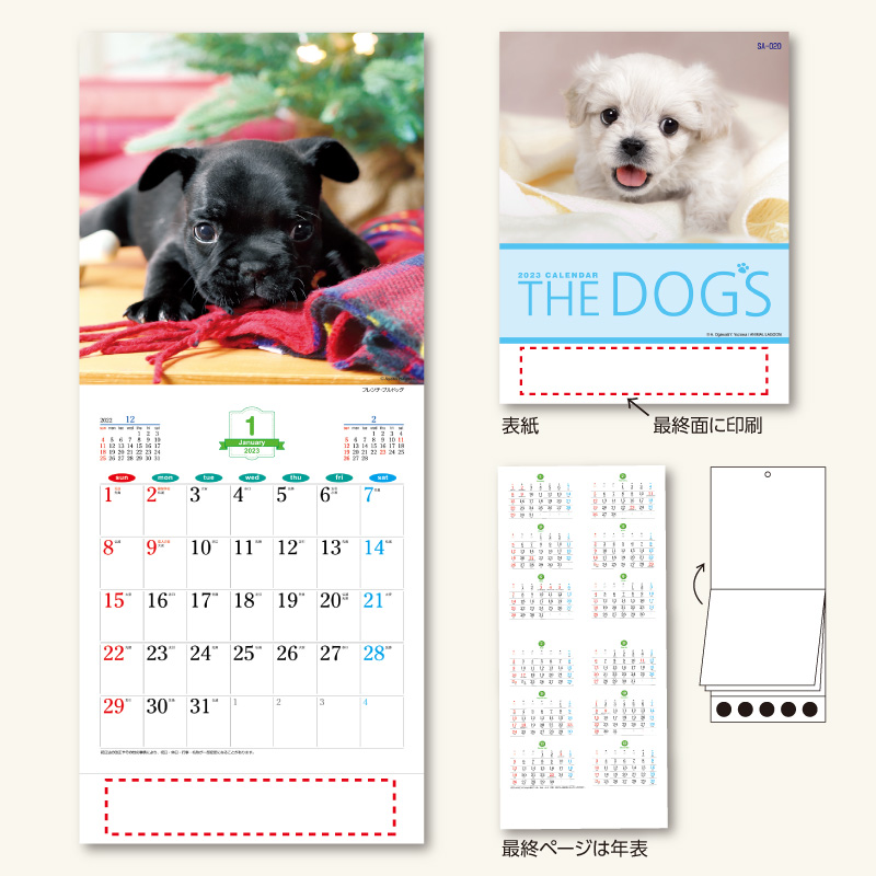 THE DOG’s(ザ・ドッグス)