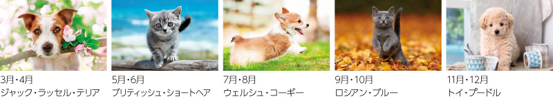 チャーミングペット(犬3枚・猫3枚)