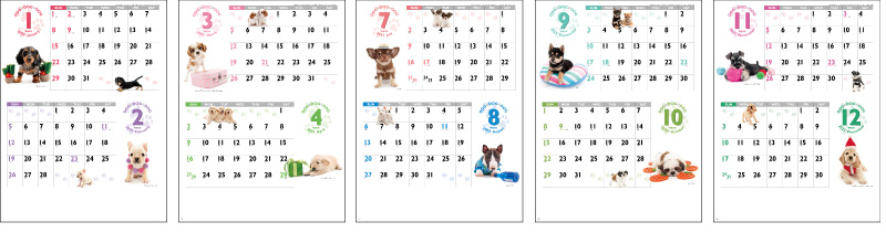DOG・DOG・DOG12ヶ月