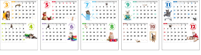 CAT・CAT・CAT12ヶ月