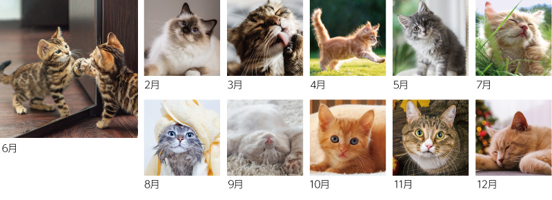 キャットデスクカレンダー12ヶ月