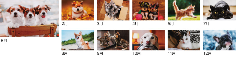 パピー&キティ(犬6枚・猫6枚)12ヶ月