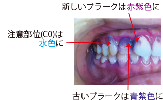 使用イメージ
