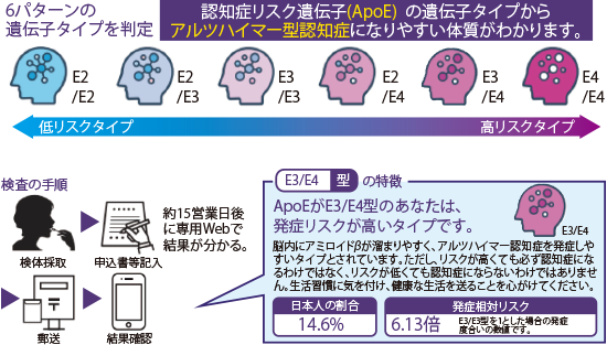 裏面・側面