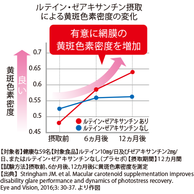 黄斑色素密度の変化
