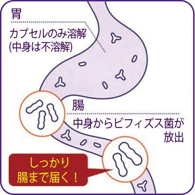 記憶対策サプリ