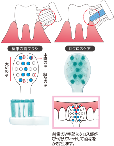 おすすめ新商品2026年7月号 | Ciモール
