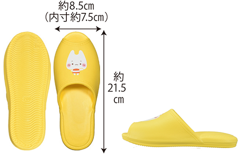 サイズ