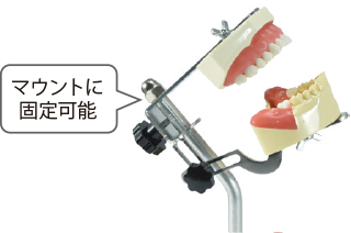 マウントに固定可能