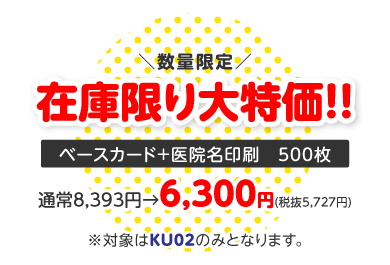 在庫限り大特価‼