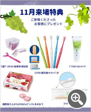 11月来場特典