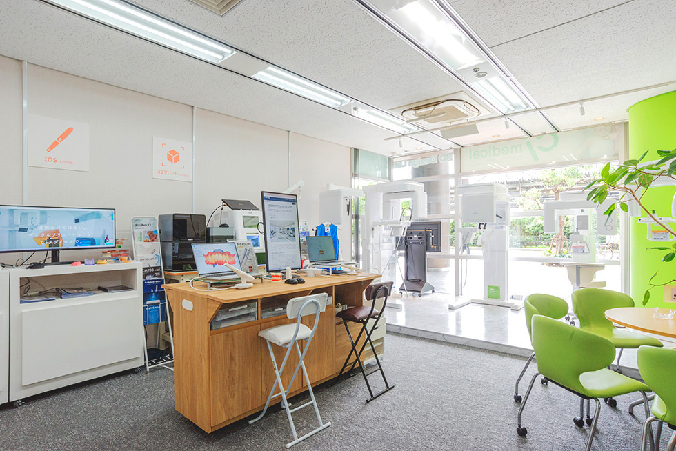 展示の様子
