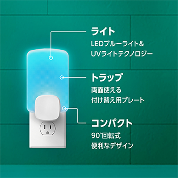 構造