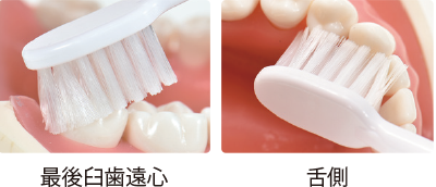 リセラルル 箱入り