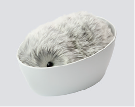 専用のハウスで眠って充電