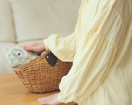 どこでも一緒にいける手乗りサイズ