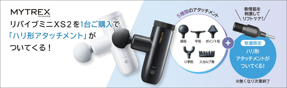 数量限定　ハリ形アタッチメント付き