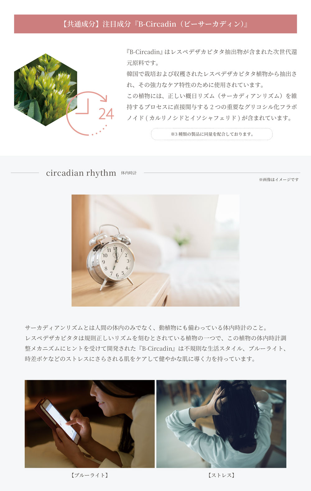 【共通成分】注目成分『B-Circadin（ビーサーカディン）』