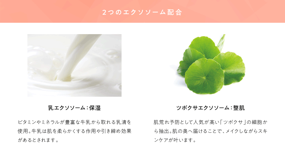 2つのエクソソーム配合