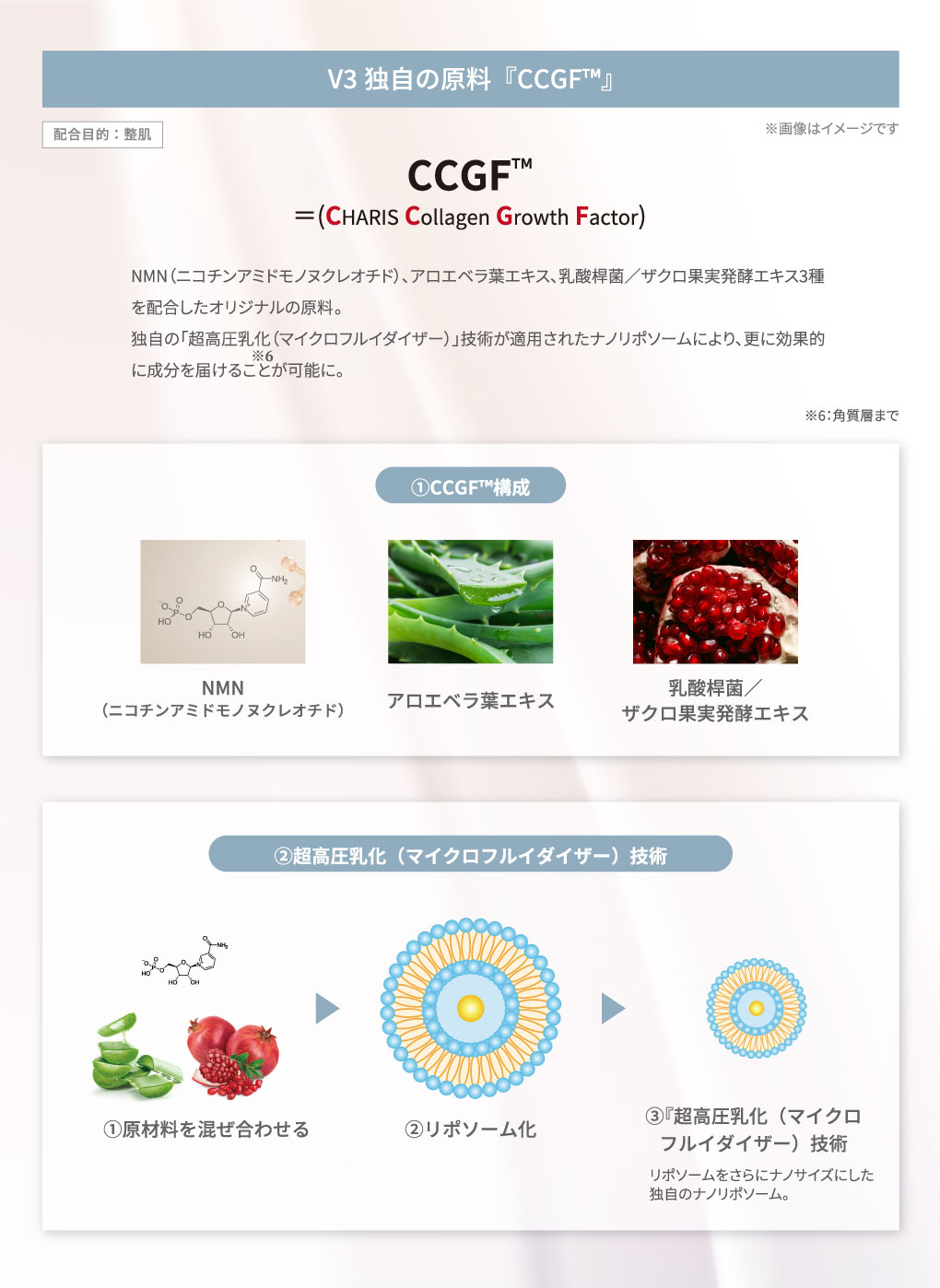 V3独自の原料『CCGF』