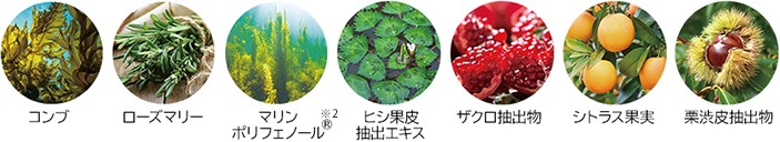 素材