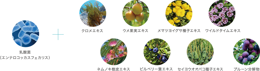 素材