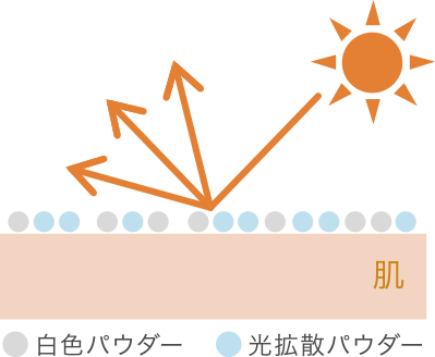 図説