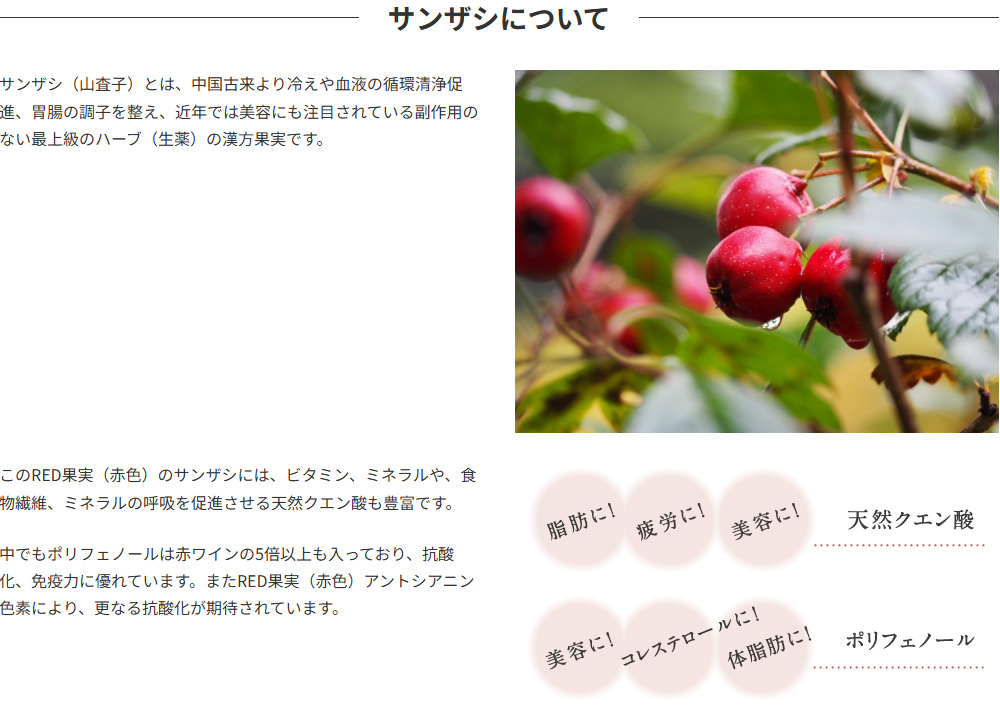 サンザシについて