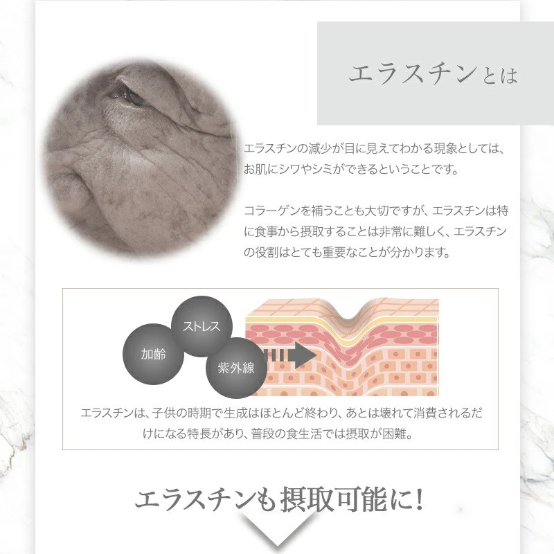 エラスチンとは