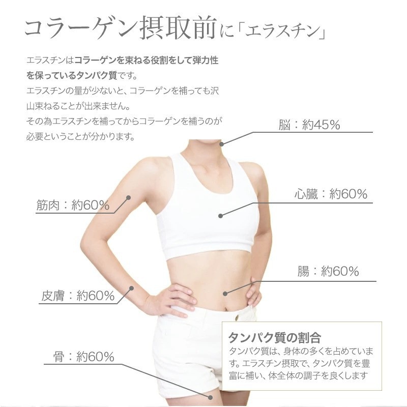コラーゲン接種前に「エラスチン」