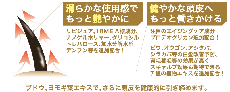 滑らかな使用感でもっと艶やかに。健やかな頭皮へもっと働きかける