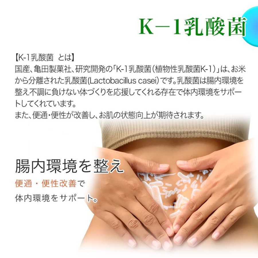 K-1乳酸菌
