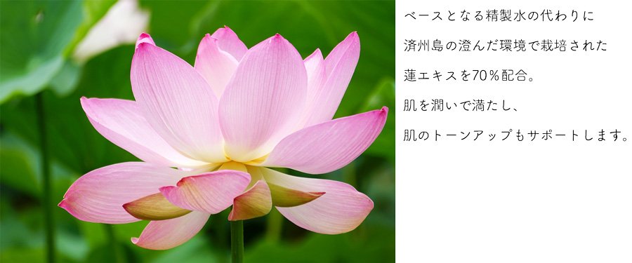 ベースとなる精製水の代わりに済州島の澄んだ環境で栽培された蓮エキスを70%配合。