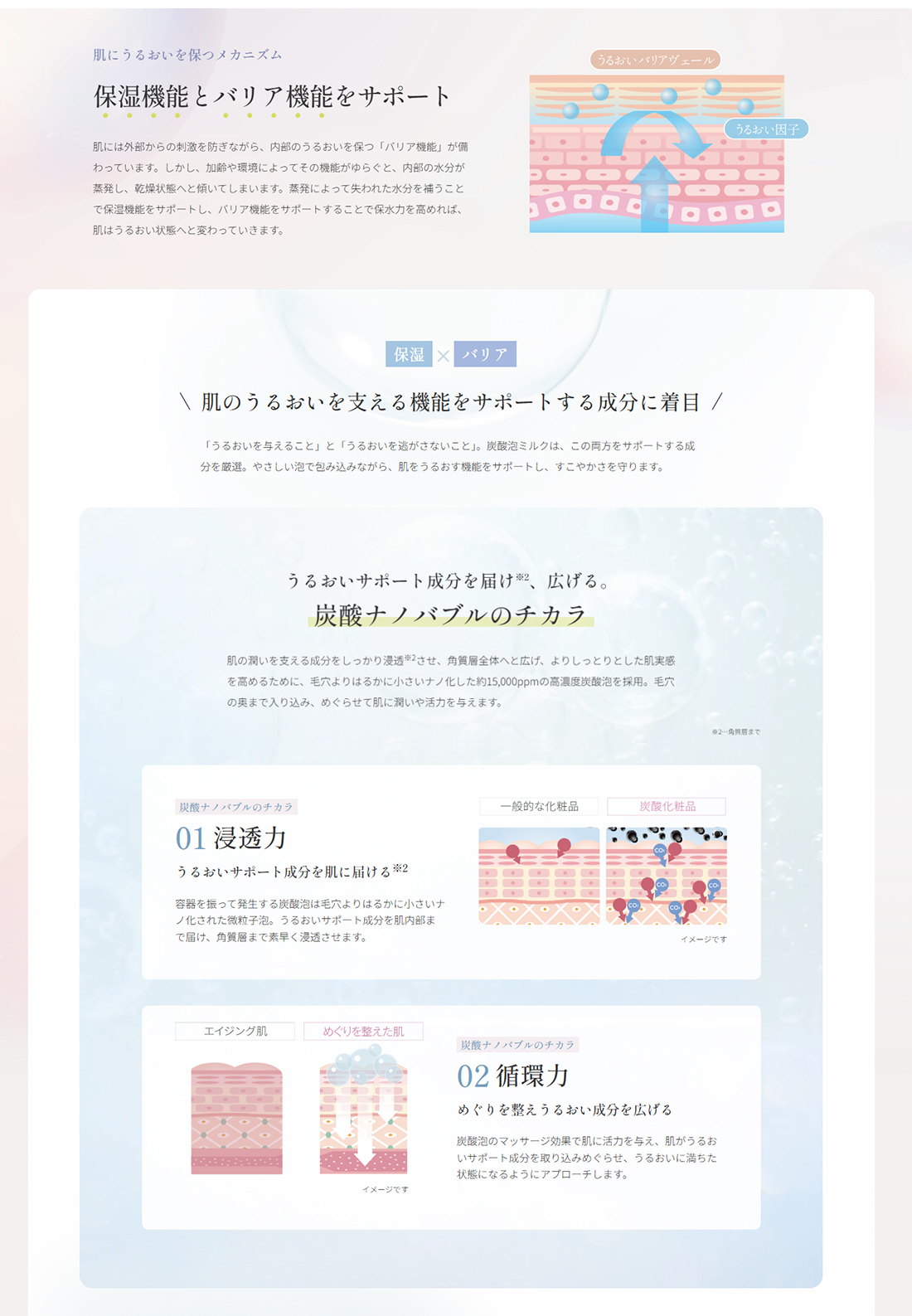 肌のうるおいを支える機能をサポートする成分に着目