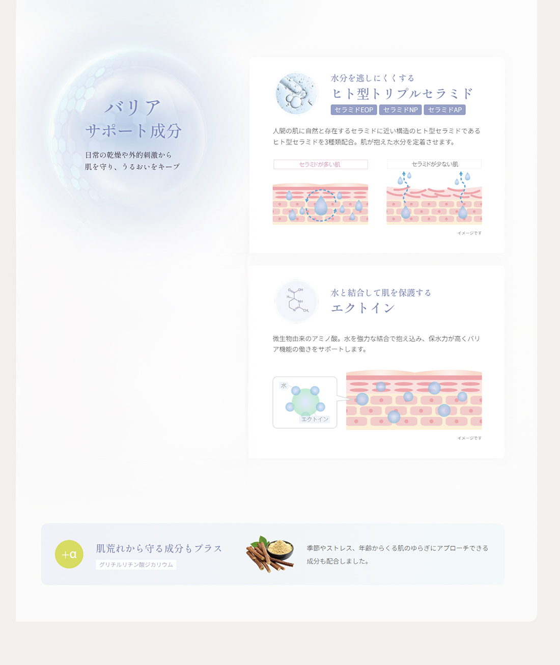 バリアサポート成分