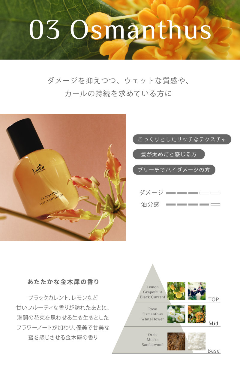 03 Osmanthus