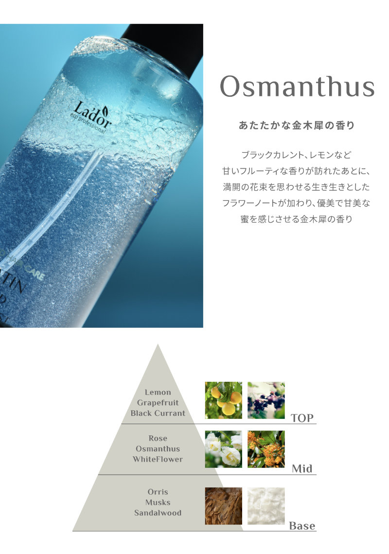 Osmanthus あたたかな金木犀の香り