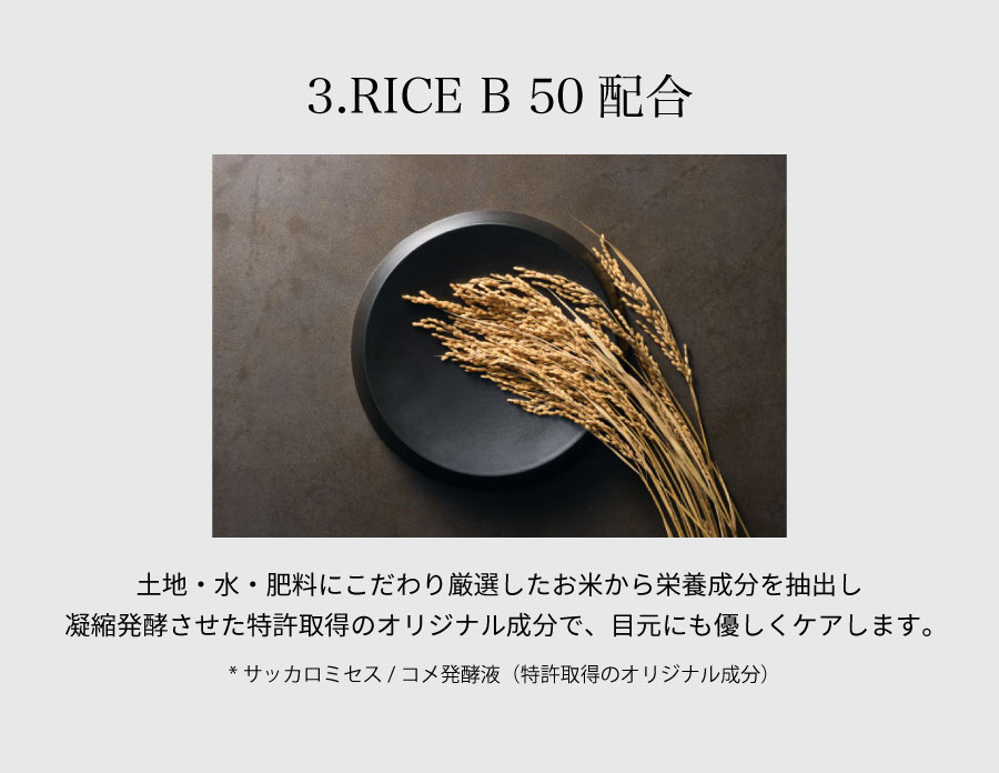 3.RICE B 50配合
