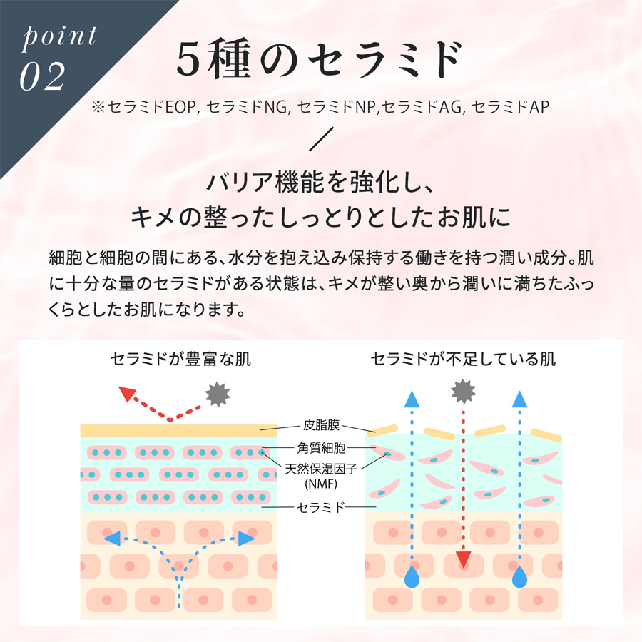 point02 5種のセラミド